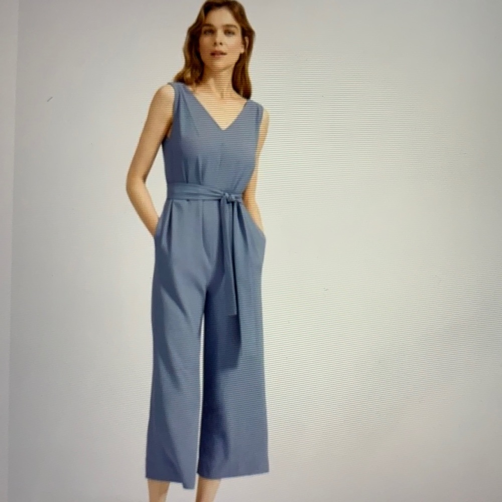 Everlane The Japanese GoWeave Essential Jumpsuit 14